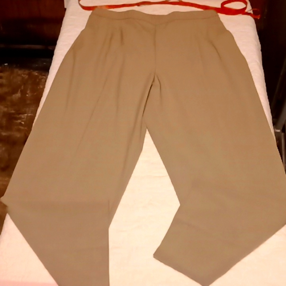 Briggs New York 20W Tan Pants Stretchy Waist